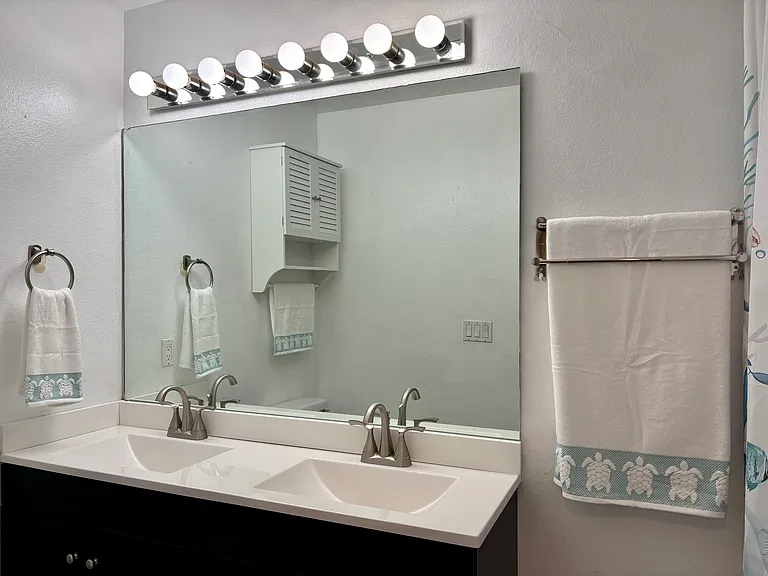 Master Bathroom recently renovated