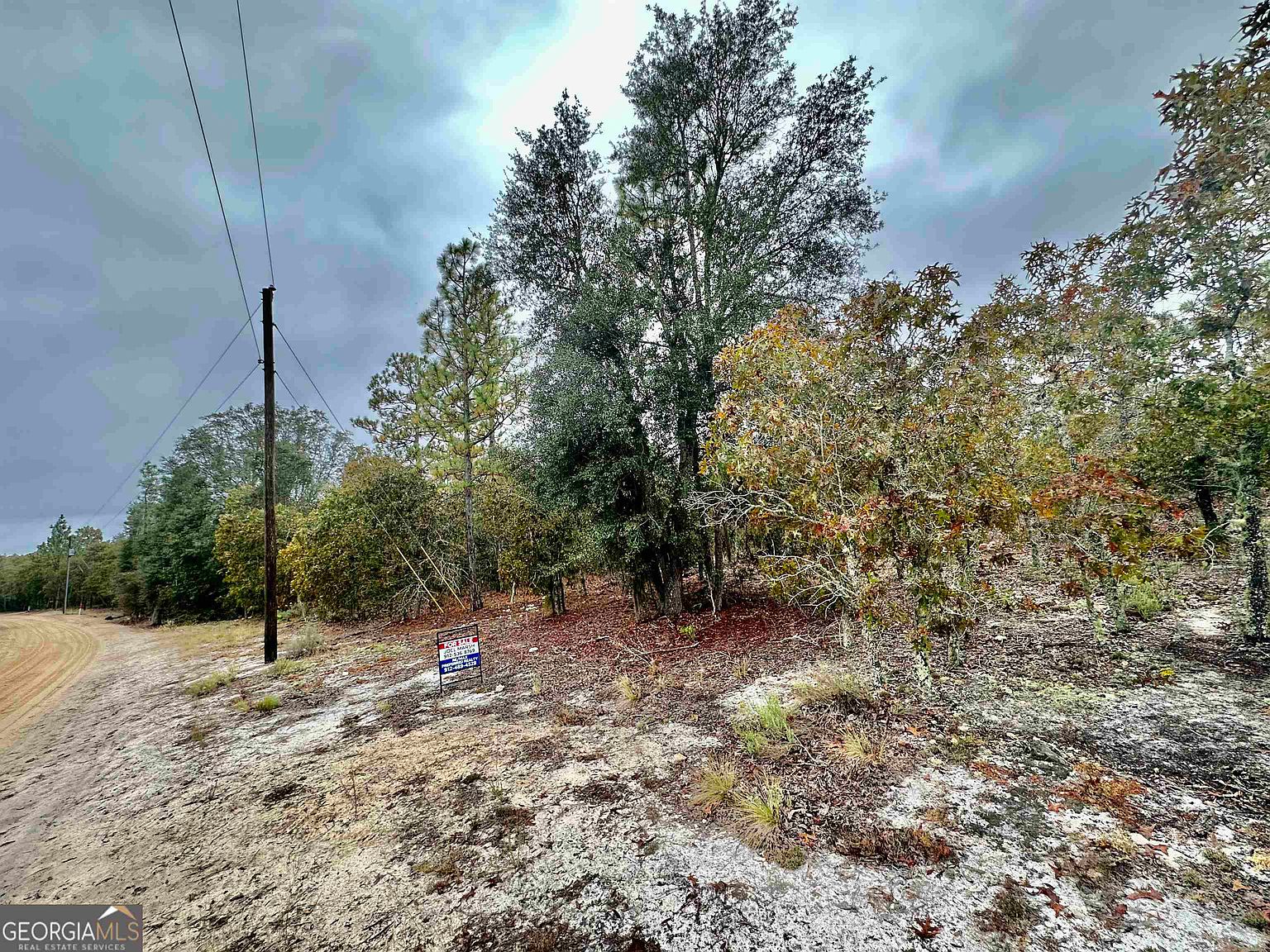 0 Coleman Bridge Rd, Cobbtown, GA 30420 Zillow