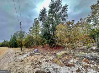 0 Coleman Bridge Rd, Cobbtown, GA 30420