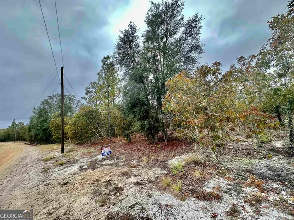 0 Coleman Bridge Rd, Cobbtown, GA 30420