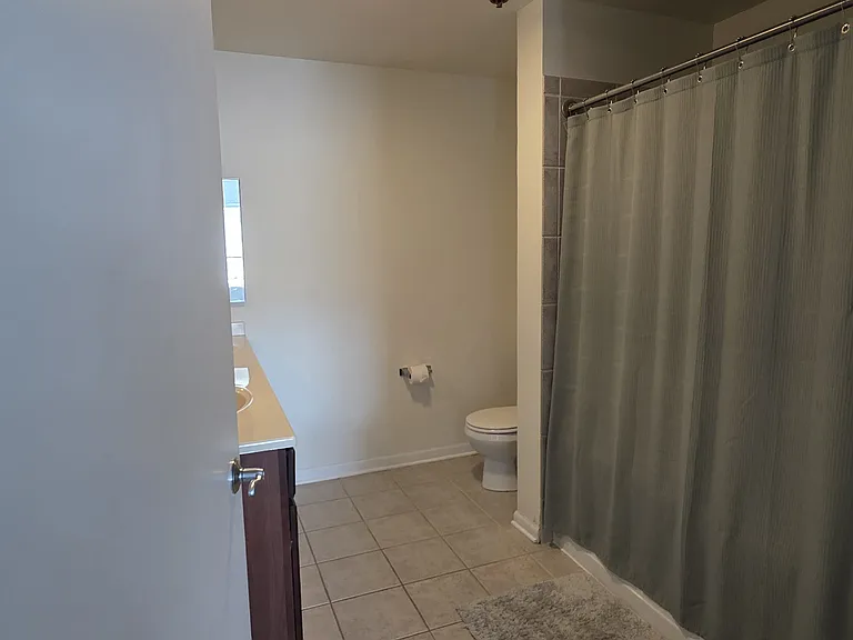 100 N Hermitage Ave #708 — Photo 10