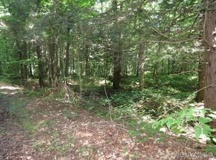 249 Tomahawk Trl, Forestport, NY 13338