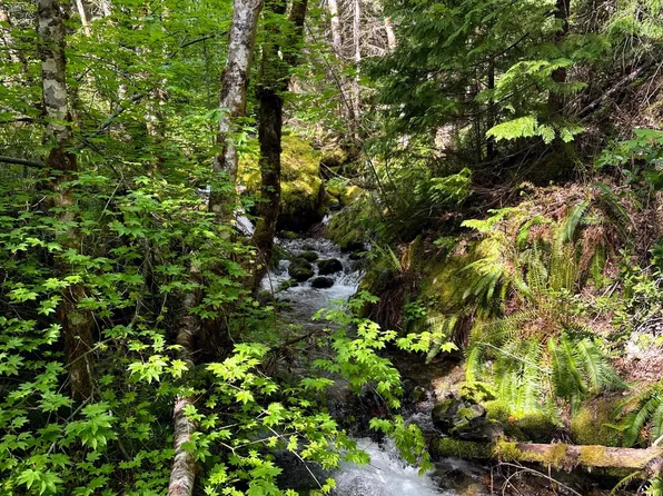 T39sse18 Caves Camp Rd, Williams, OR 97544