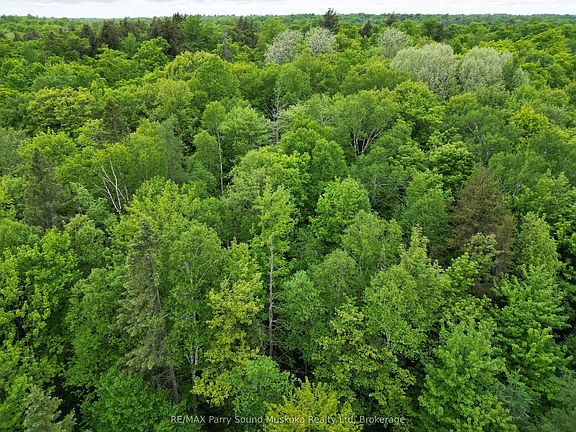 3rd image of 22342 East Rd #1