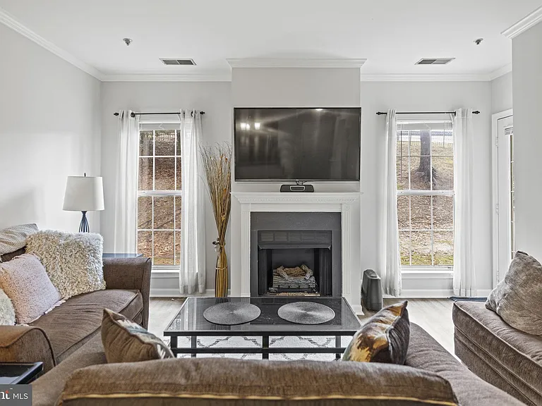 7011 Falls Reach Dr #103 — Photo 11
