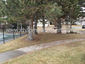 4th image of 5900 N Cobbler Ln