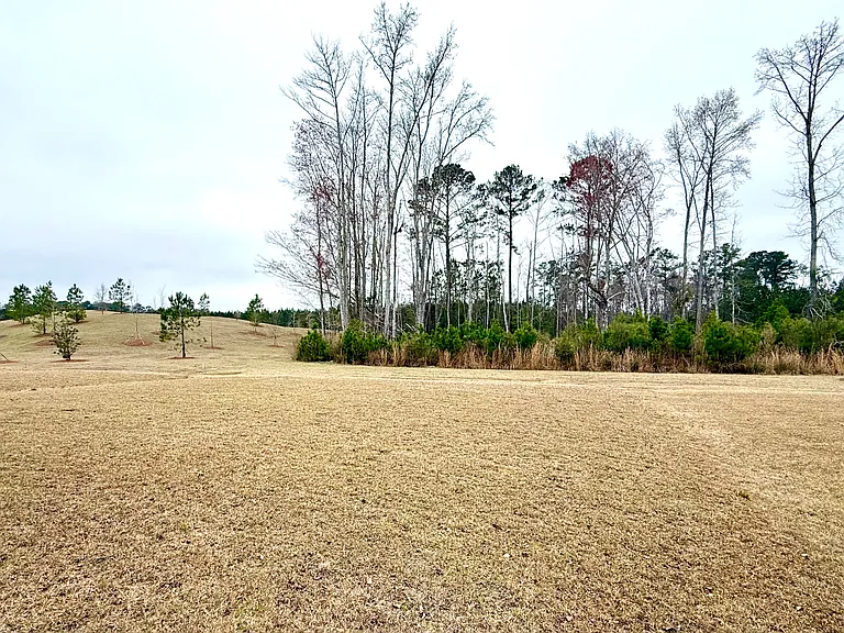 945 Longleaf Dr — Photo 23