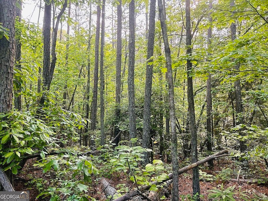 0 Springer Rd Whitesburg GA Zillow