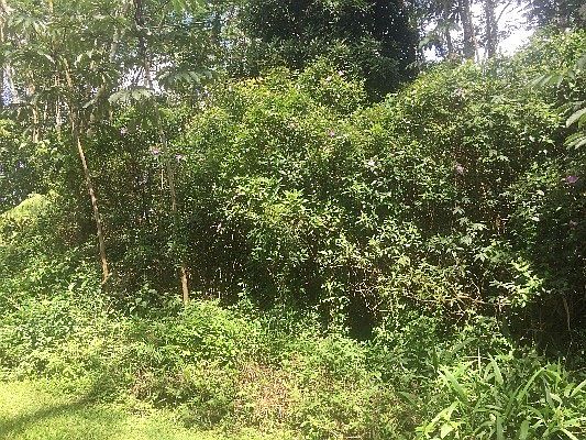1st image of Lehualani Pl Lot 43-A