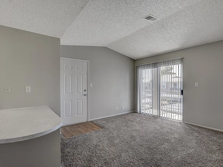 Citrus Apartments — Photo 11