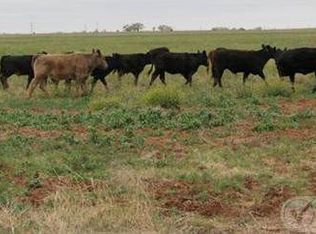 9610 County Road 194, Hamlin, TX 79520