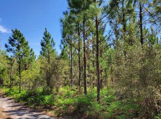 0 NE River Park Rd LOT 10-N, Lee, FL 32059
