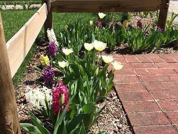 Imagine next Spring!