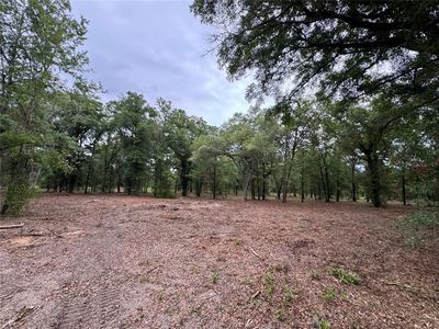 NE 126th St #A, Bronson, FL, 32621
