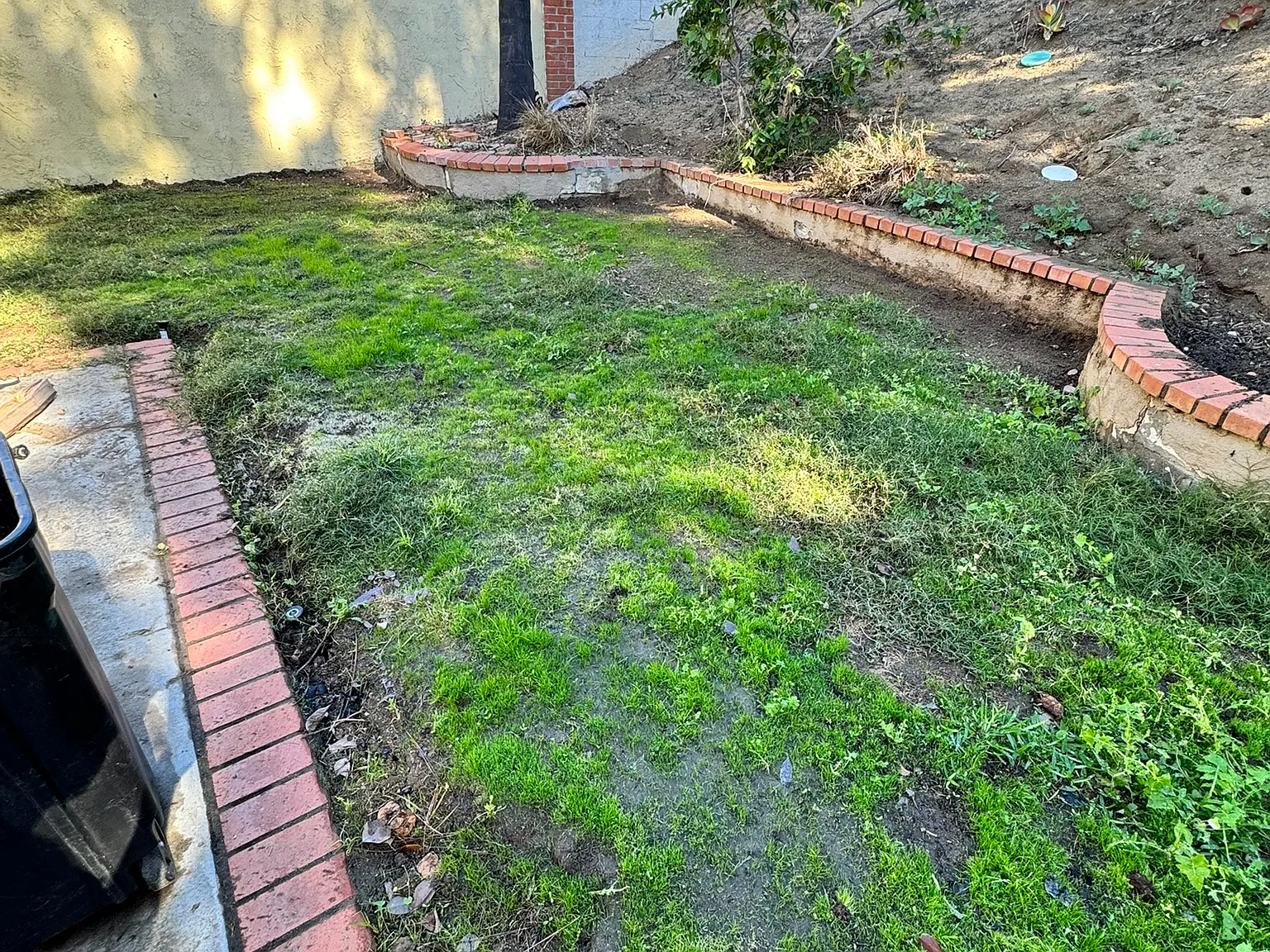5 bed, 1883 sqft, $1,075 — Photo 4