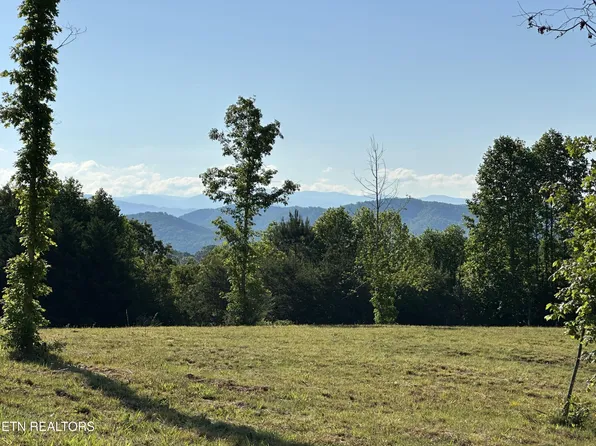 LOT Seven Curtis Rd Lot 7, Tellico Plains, TN 37385