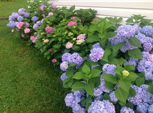 2412 Winthrop Ave SW, Roanoke, VA 24015