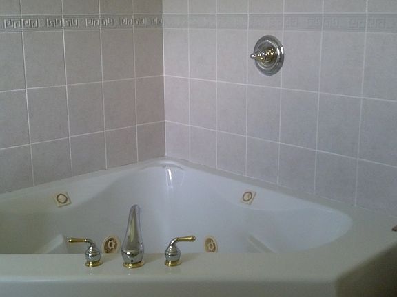 Jacuzzi master bath spa tub