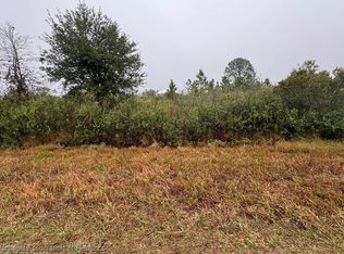 2135 W Howley Rd, Avon Park, FL 33825