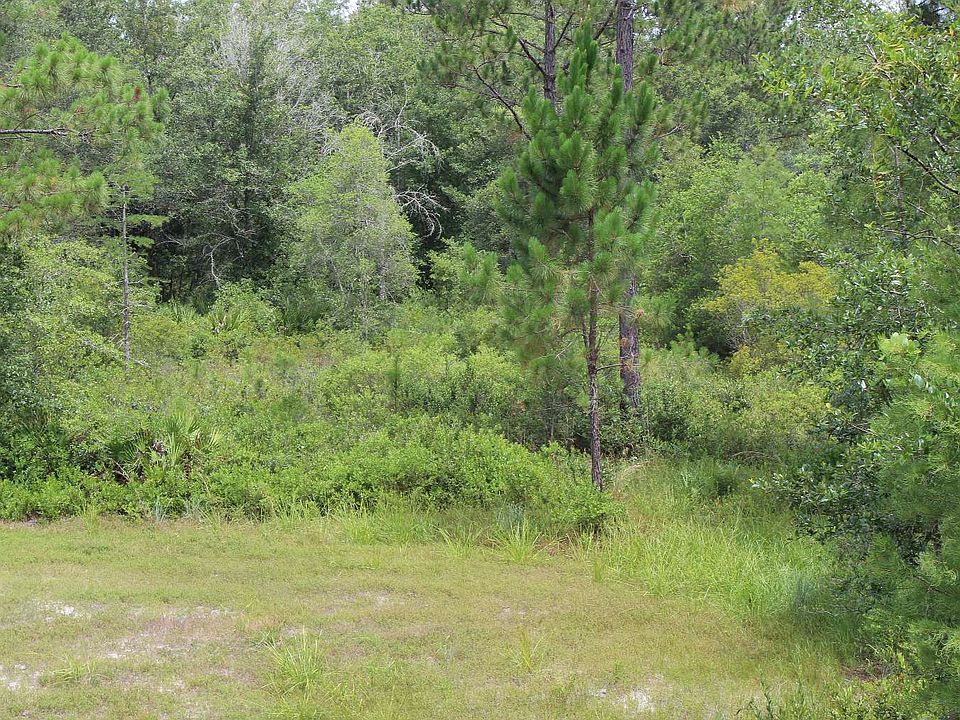 2nd image of Kala Cir