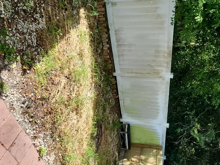 494 Oak Canopy Cir — Photo 14