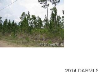 2050 Burma Rd, New Smyrna Beach, FL 32168