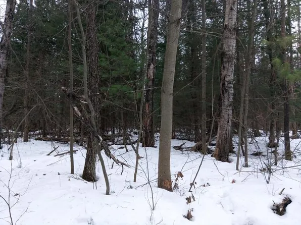 3143 Dunndale Dr, Spruce, MI 48762