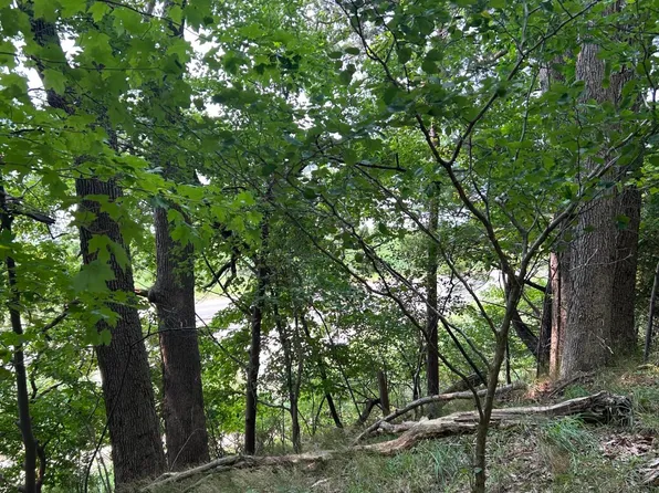 Longbridge Lot 7, Pentwater, MI 49449