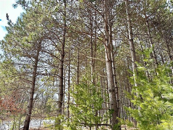 5th image of TBD 20 Acres 630th Street