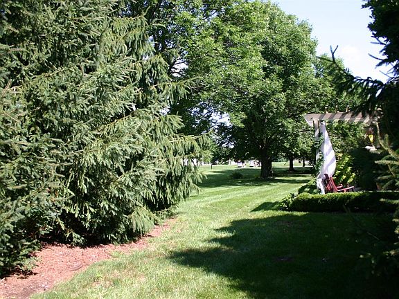 3rd image of 1019 Griffin Gate Dr