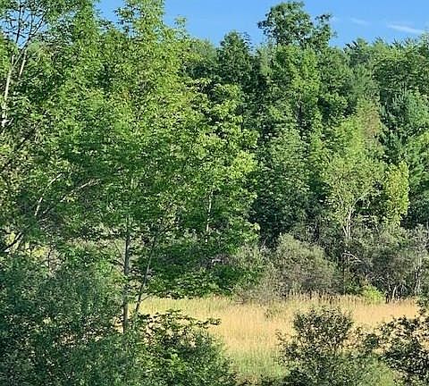 5th image of 000 Duanesburg Rd