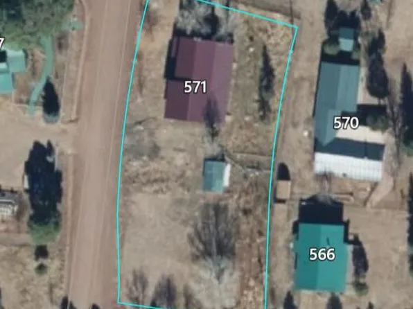 571 E Ridge East Dr, Pinedale, AZ 85934