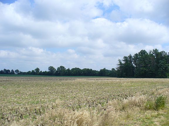 View of field behind propert