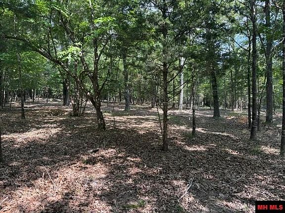 2nd image of 18 Catawba