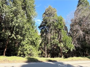 0 Hook Crk, Cedar Glen, CA 92321