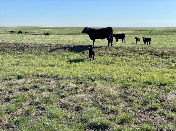 9 County Road 166 LOT 9, Deer Trail, CO 80105