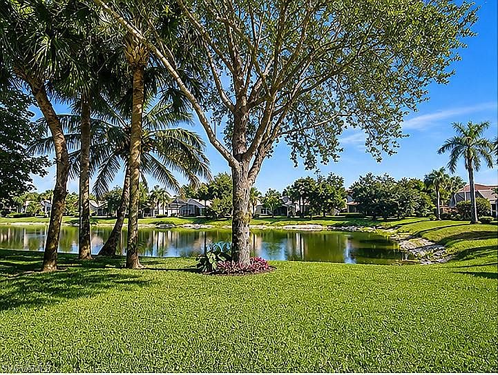 1st image of 1654 Triangle Palm TER