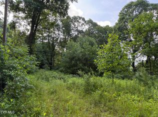 353 Clarence Potter Rd, Mountain City, TN 37683