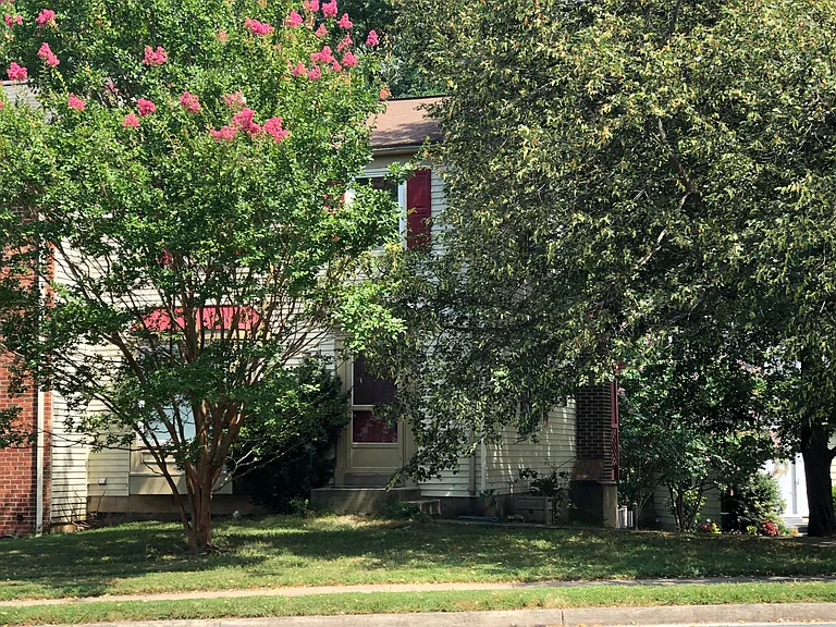 3033 Ellenwood Dr — Photo 62