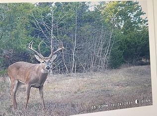 0 County Road 2374, Detroit, TX 75436