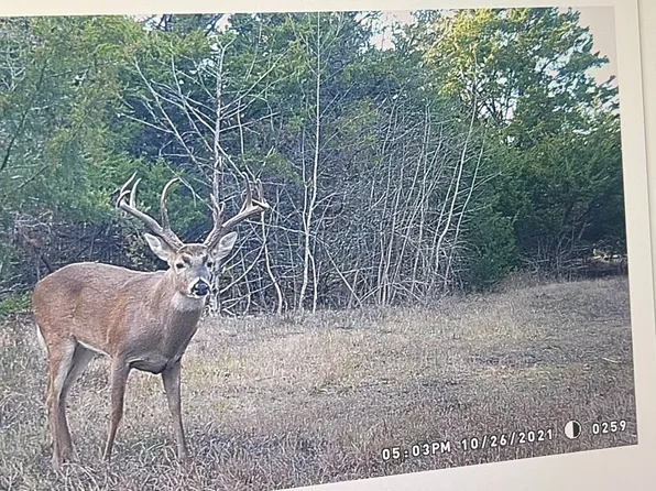 0 County Road 2374, Detroit, TX 75436