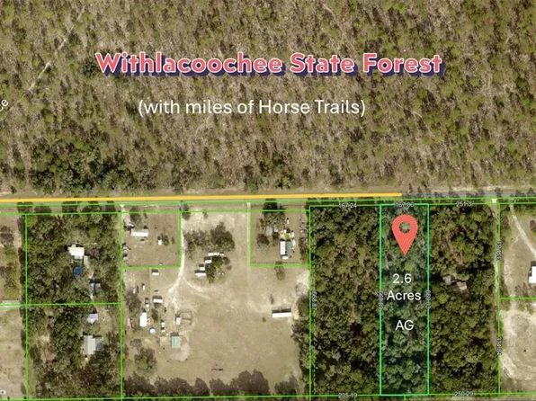 0 Wildlife Ln, Brooksville, FL 34602