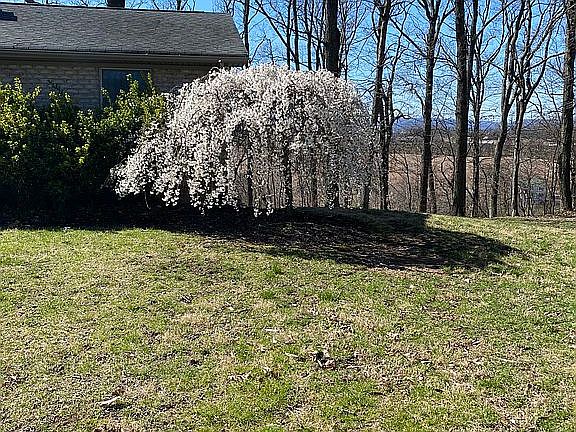 2nd image of 11818 Cash Smith Rd