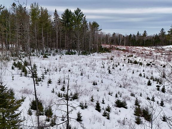 2nd image of 151 N Guilford Road