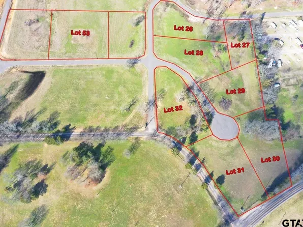 29 Southshores, Pittsburg, TX 75686