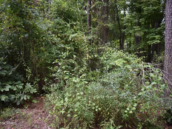 Lot 39 Oak Drive, Blounts Creek, NC 27814