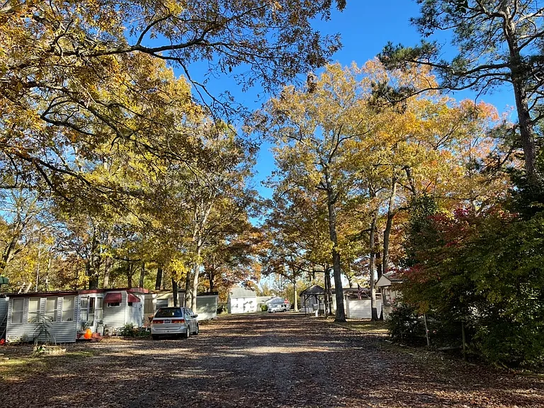 9945 Oak Terrace Rd — Photo 11