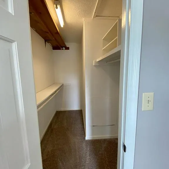 3264 Alforodo St — Photo 16
