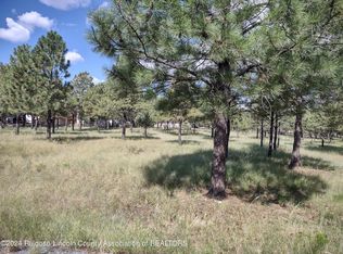 14 Goldenrod Ln, Alto, NM 88312