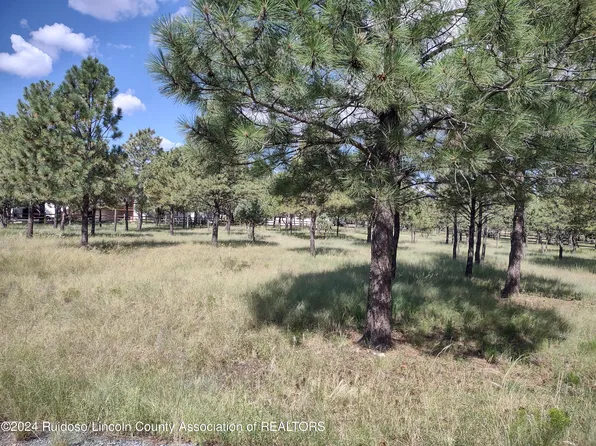 14 Goldenrod Ln, Alto, NM 88312